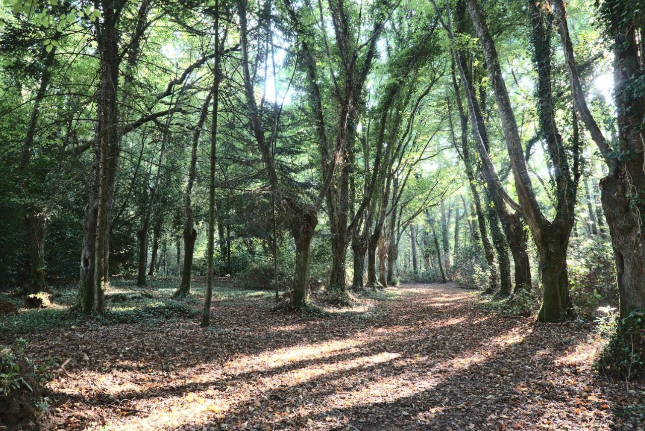 Manoir De Kerguestenen Gestel Bagian luar foto